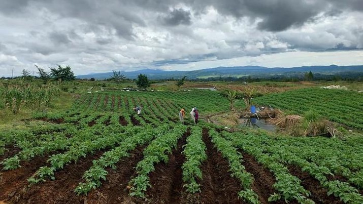 Optimasi Proyek Food Estate Humbang Hasundutan Melalui Kerjasama Strategis Indonesia-China