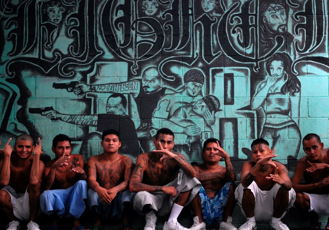 Symbols, Rituals, and Language: Gang Culture and Identity