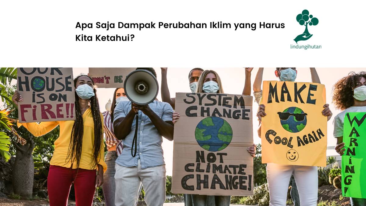 Perubahan Iklim: Dampak Terbaru Terhadap Pertanian di Jawa