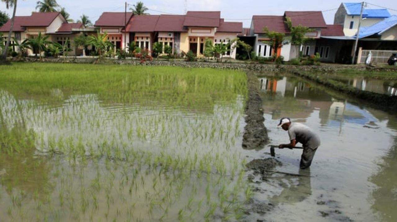 Dampak Urbanisasi terhadap Masyarakat Indonesia