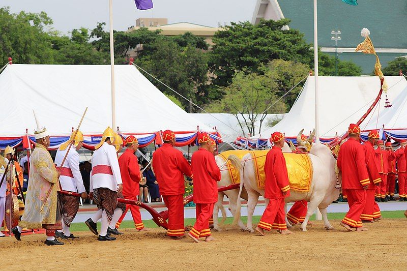 Masyarakat Adat di Kamboja: Pelestarian Budaya dan Hak-Hak