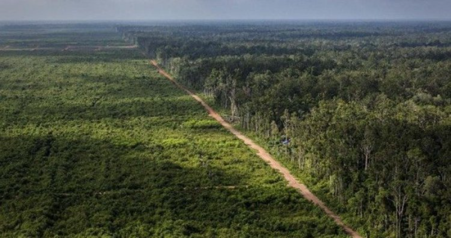 Pelestarian Lingkungan Hidup: Tanggung Jawab Bersama di Sumatra Barat