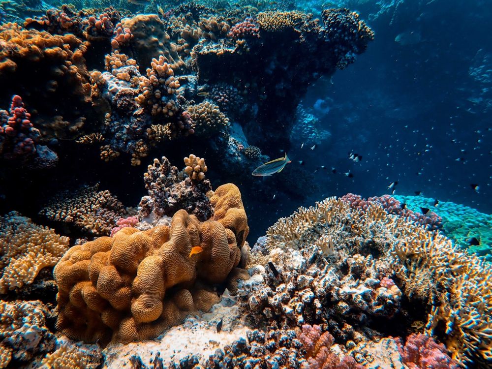 Potensi Ekonomi Maritim Indonesia