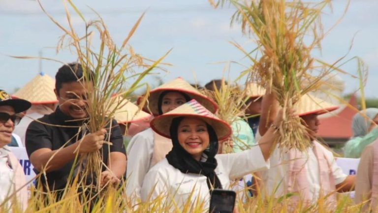 Titiek Soeharto Soroti Terobosan Sawah Pokok Murah, Petani Agam Jadi Contoh Nasional